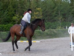 IMG_0538_web